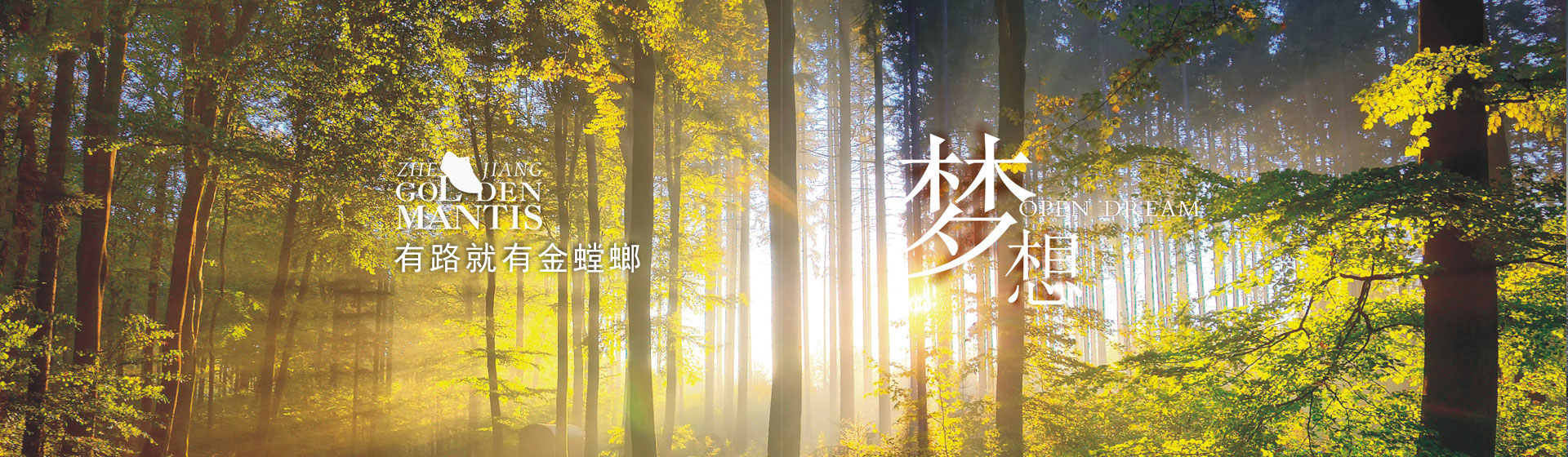 亚星手机版官方登录网站